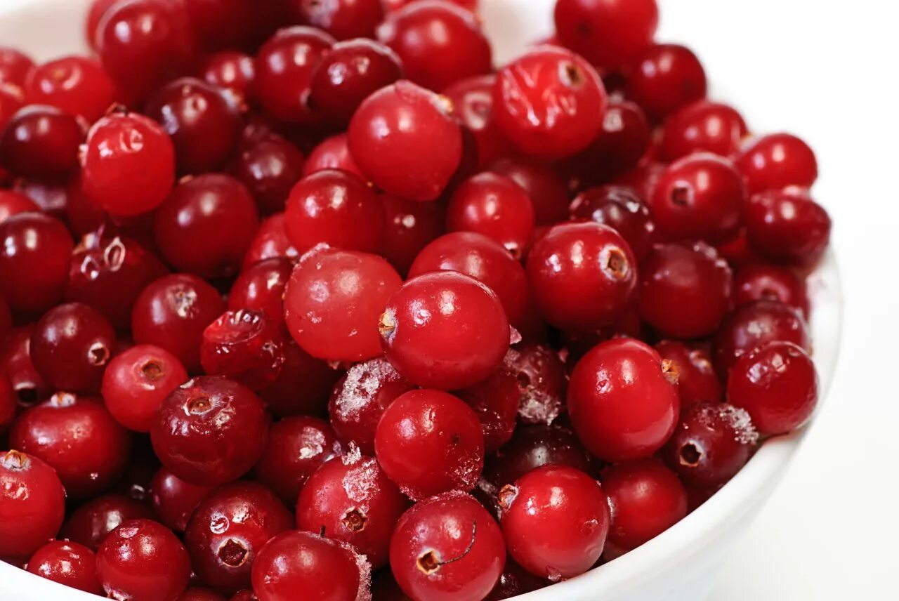 Клюква Болотная морс. Cranberries ягода. Среднеазиатская клюква. Клюква Северянка.