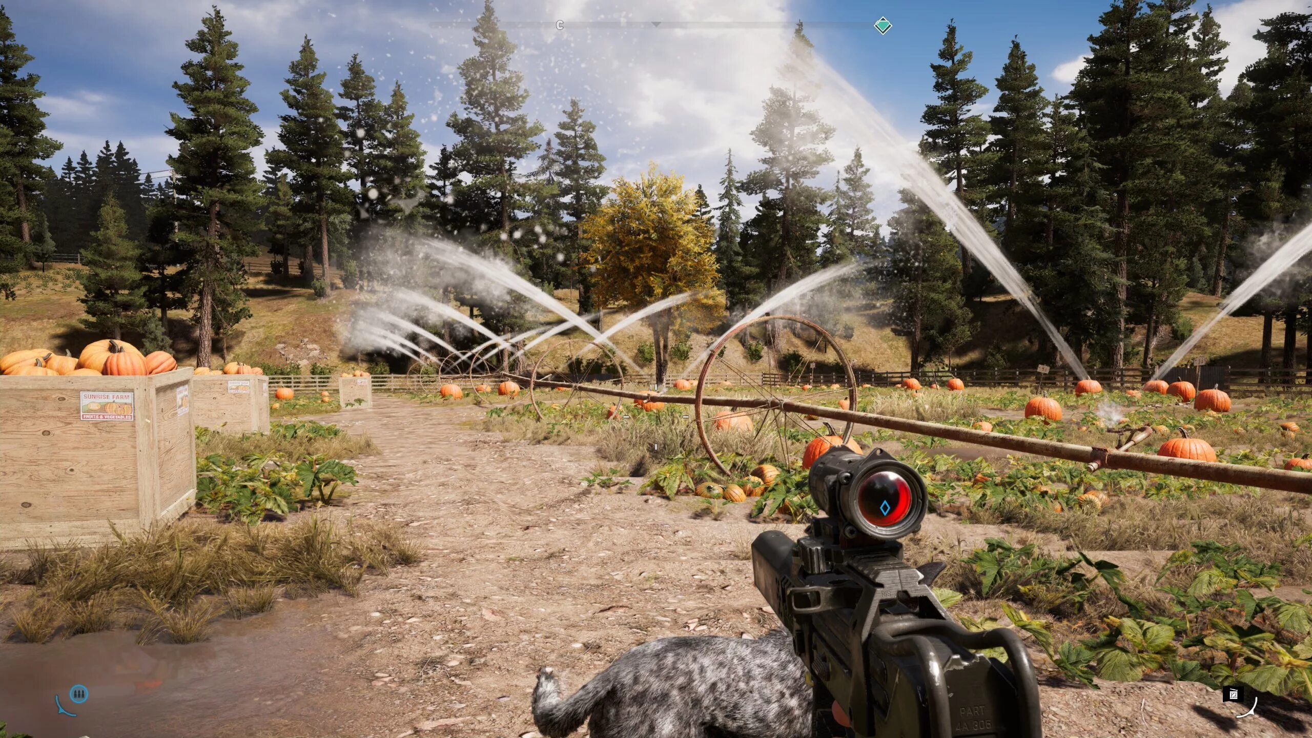 Far cry 5 coop