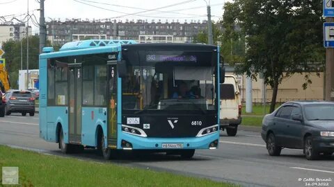 Автобус 343 петербург