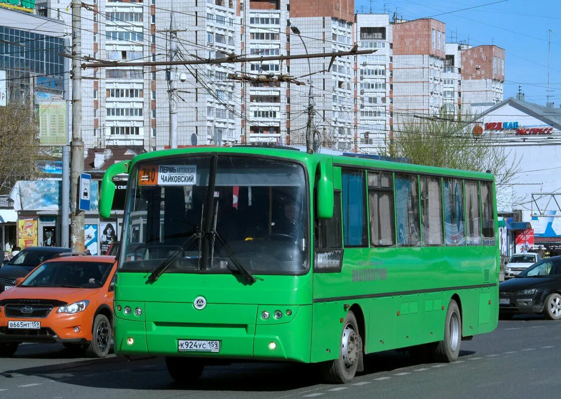 Автобус пермь оса чайковский. Автобус Чайковский Пермь автовокзал. Пермь автобус КАВЗ. Автобусы Пермь автовокзал. Автобус Пермь Чайковский.