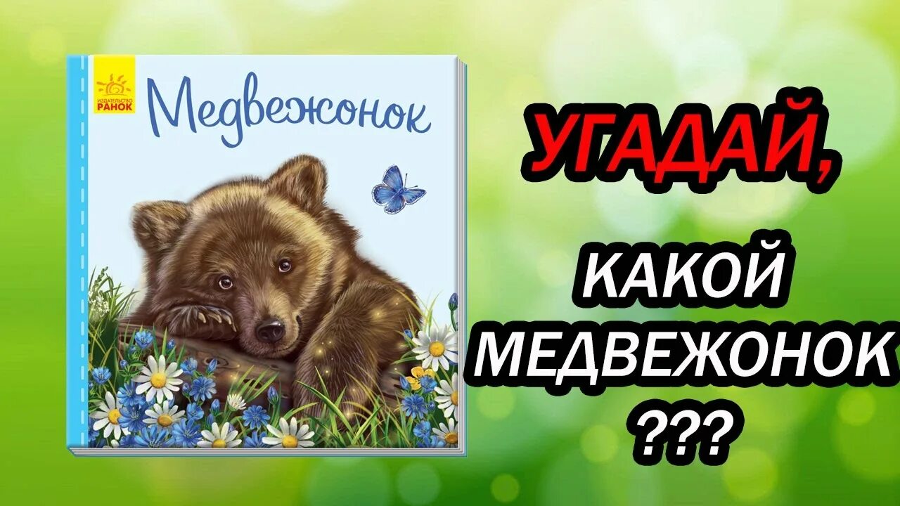 Издательство Ранок Медвежонок. Книга Медвежонок Додо для детей. Детская книжка мишки в Лапландию. Медведь читает план.