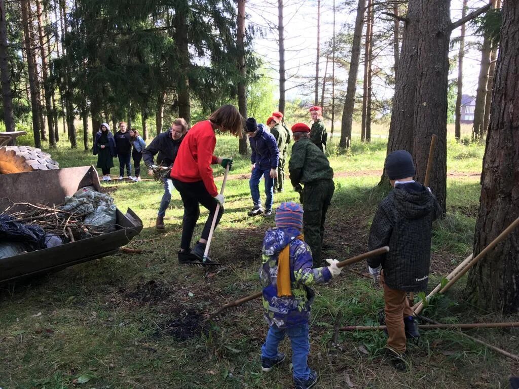 белкины новости