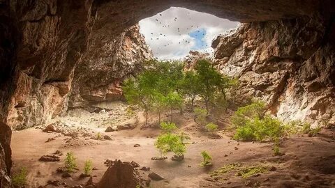 Порно онлайн