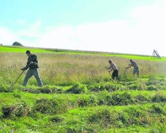Косить траву в деревне. Косарь в поле. Косим траву в луге. Косим траву в луге. Косить траву косой.