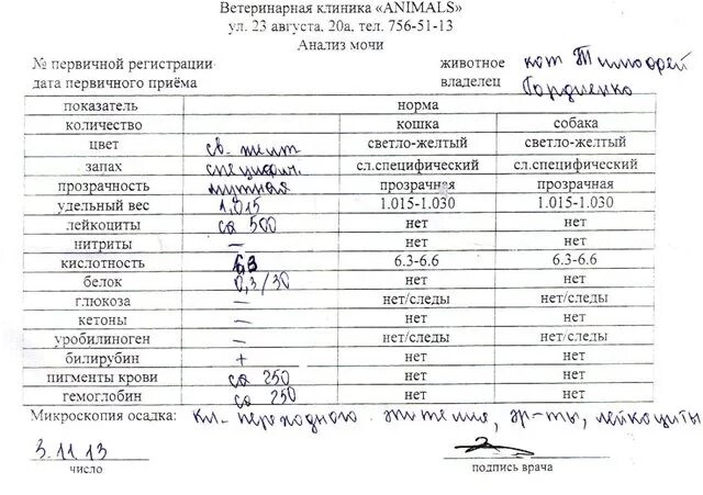 Анализ мочи. Общий анализ крови при цистите. Общий анализ мочи. Общий анализ крови и мочи. В анализе мочи виден никотин