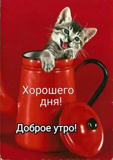 Официант мы с девушкой обедали вдвоём а тут счёт на троихй Сзади следила ваша же