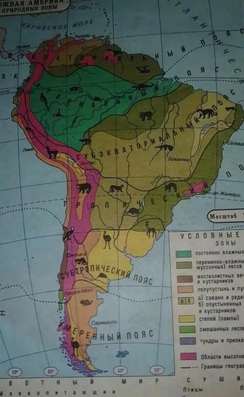 Природы зоны южной америки. Карта природных зон Южной Америки 7 класс география. Южная Америка природные зоны атлас 7 класс. Карта природных зон Южной Америки атлас 7 класс. Природные зоны материка Южная Америка.