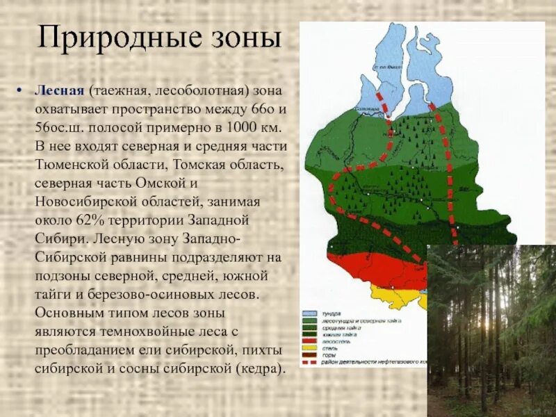 Географическое положение западно сибирского экономического района. Природные зоны Западной Сибири. Природные зоны Западно сибирской равнины. Западно-Сибирская равнина климат карта. Природно хозяйственные зоны Западной Сибири.