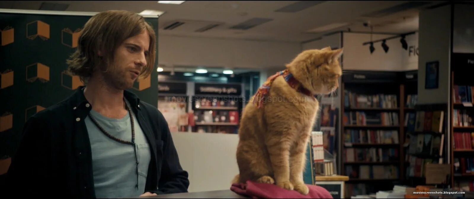 A Street Cat named Bob. Уличный кот по кличке Боб (2016). Street Cat named Bob poster. Hello street cat петиция остановите