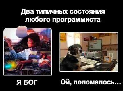Любимый программист