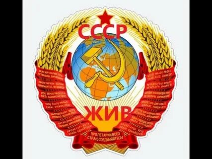 Отправил 90