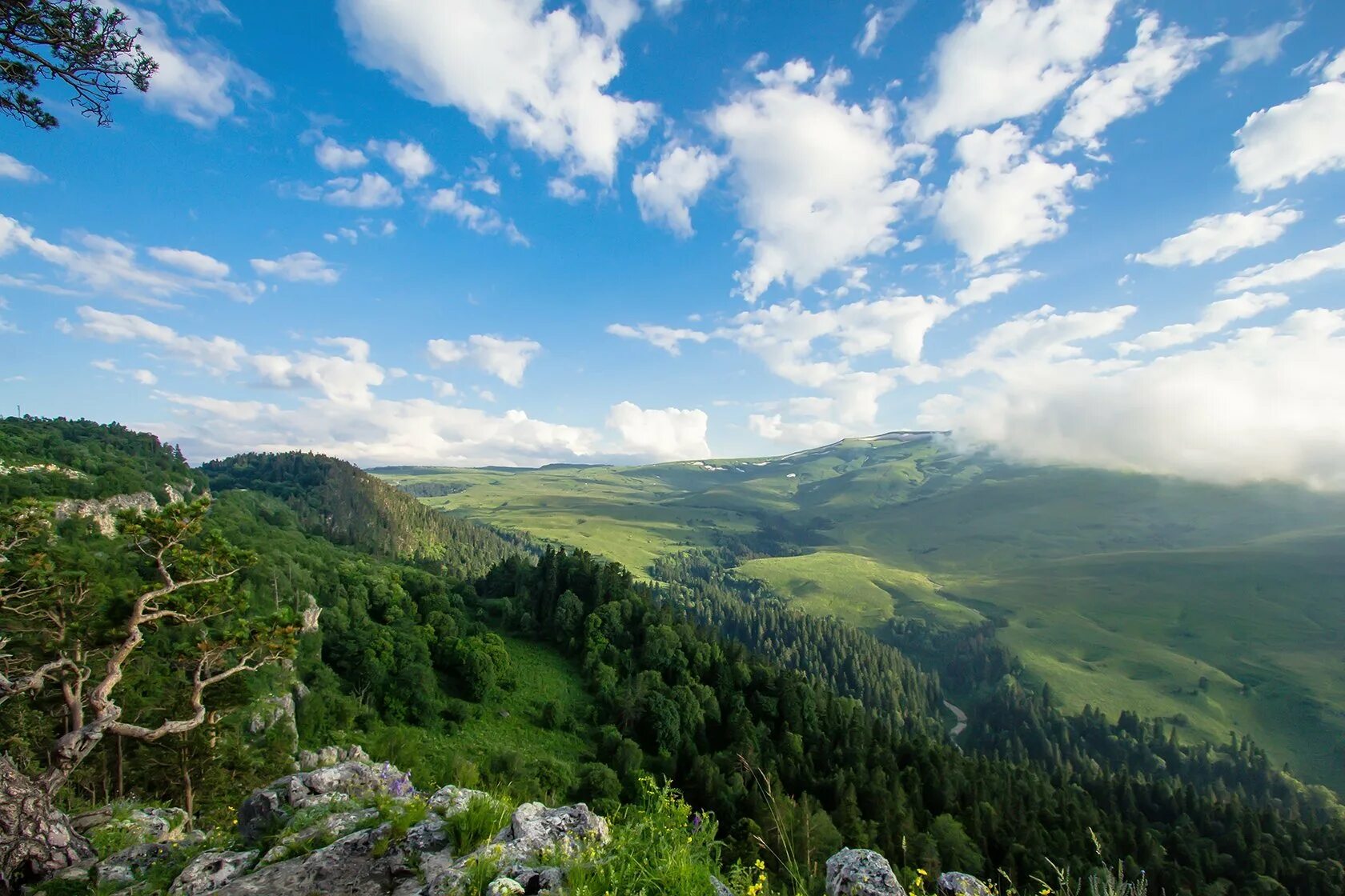 Поездки в лаго наки. Плато лагонаки адыгея. Плато лаго-наки адыгея. Поездки в лаго наки. Лаго наки горы.