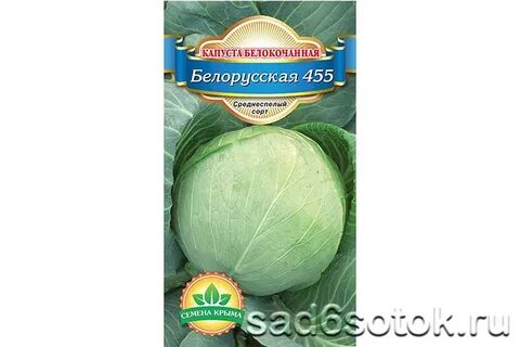 Капуста поздняя сорт белорусская