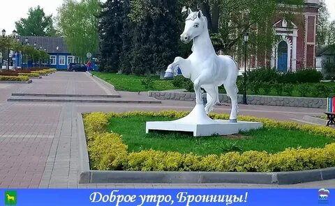 Бронницы никитский