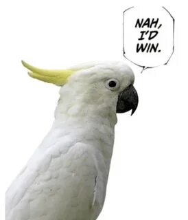 Nah id win memes