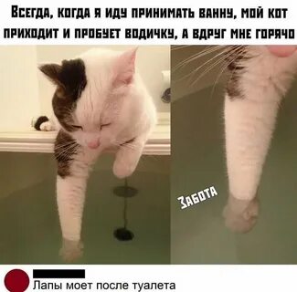 Пойдем примем
