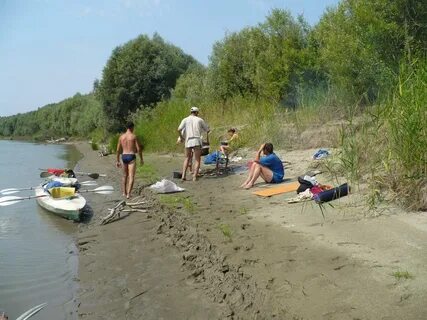 Уровень реки чумыш в заринске