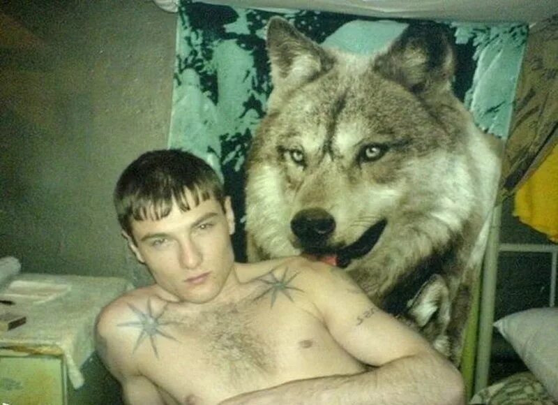 Волк мем. Волк и волчица любовь. Волк одиночка мем с мужиком. Волк одиночка мем с мужиком. Волк одиночка мем с мужиком.