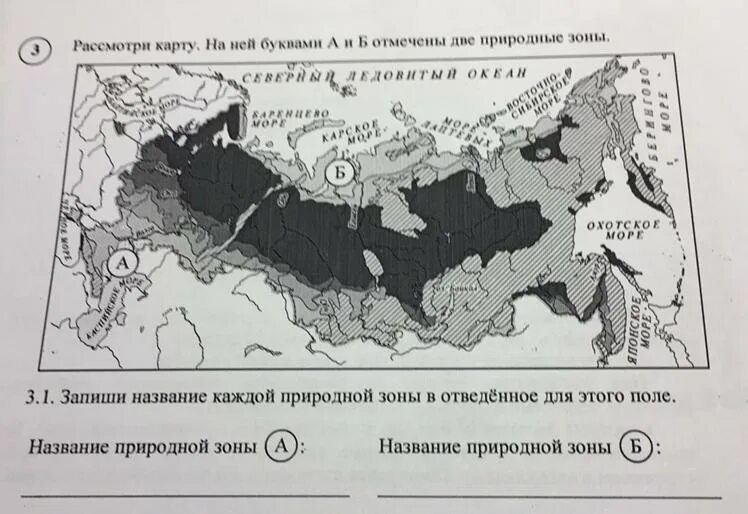 Природные зоны россии впр ответы. Название природной зоны а и б 4 класс. Рассмотри карту на ней буквами а и б отмечены две природные зоны. Запишите название природной зоны. Карта России природные зоны а и б.