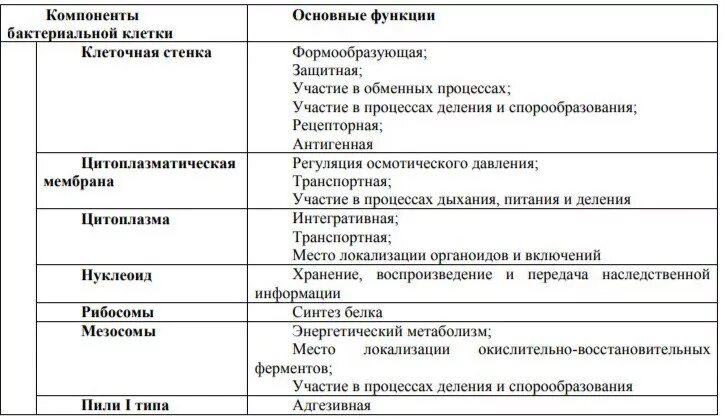 Бактерия строение функции. Строение бактериальной клетки таблица. Структура бактериальной клетки микробиология таблица. Компоненты бактериальной клетки и их функции. Строение бактериальной клетки часть клетки функции.