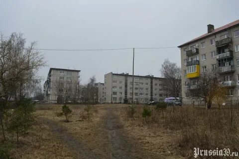 Корнево багратионовский