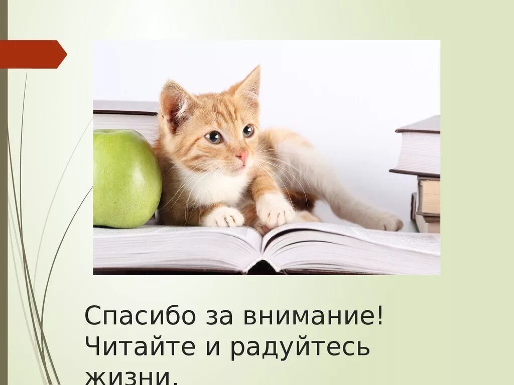 Внимание литература. Спасибо за внимание книги. Спасибо за внимание чтение. Спасибо за внимание на фоне книг. Спасибо за ВНИМАНИЕС Кигами.