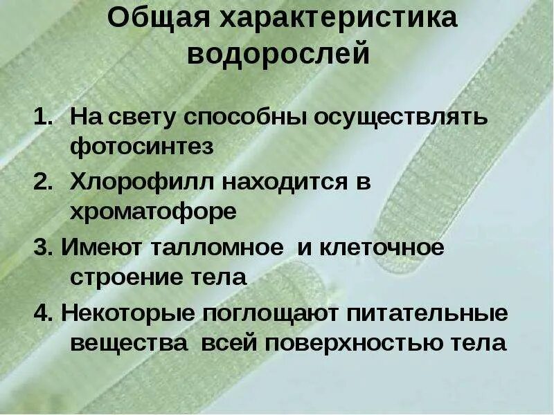 Водоросли характеристика биология. Общая характеристика водорослей. Общая характеристика водорослей кратко. Общая характеристика водорослей 7 класс. Водоросли характеристика кратко.