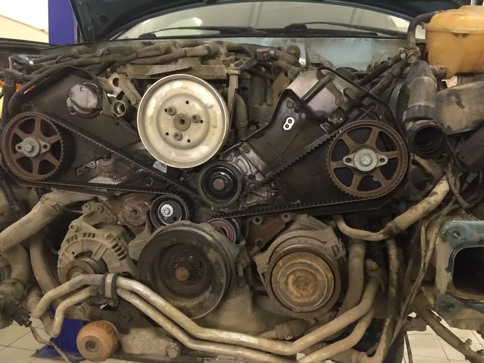 грм ауди а8 4. грм ауди а6 2. ремень грм ауди а6 с5 2. 8 ремень грм. 8 ремень грм.