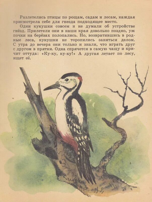 Читательский дневник г скребицкий. Г скребицкий про птицу. Сказки г скребицкого. Скребицкий синичка. Читательский дневник г скребицкий.