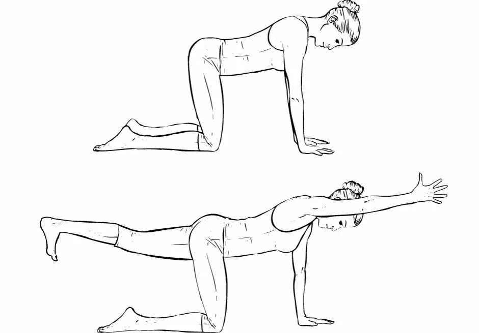 Упражнение для улучшения кровообращения в малом. Упражнения для спины на четвереньках. Упражнения лежа на спине. Упражнения на четвереньках для позвоночника. Упражнения стоя на четвереньках.