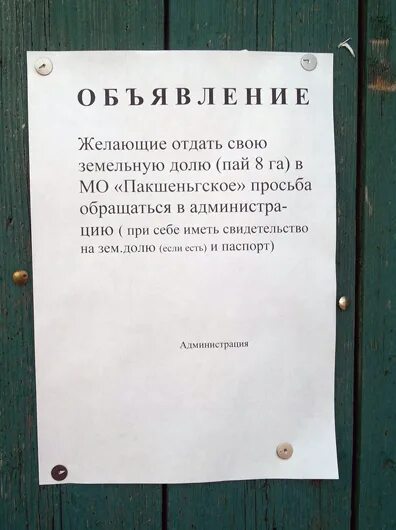 Маскедлав объявления. Объявление о покупке участка. Объявление о покупках пая. Объявление Пай образец. Объявление о покупке земельного пая.