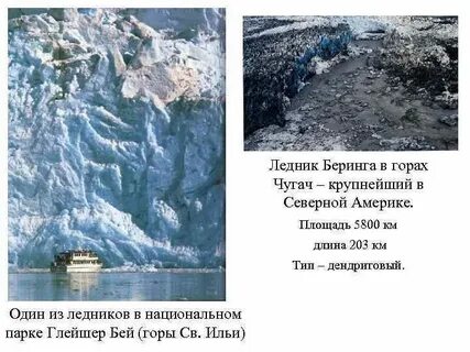 Ледник беринга штат