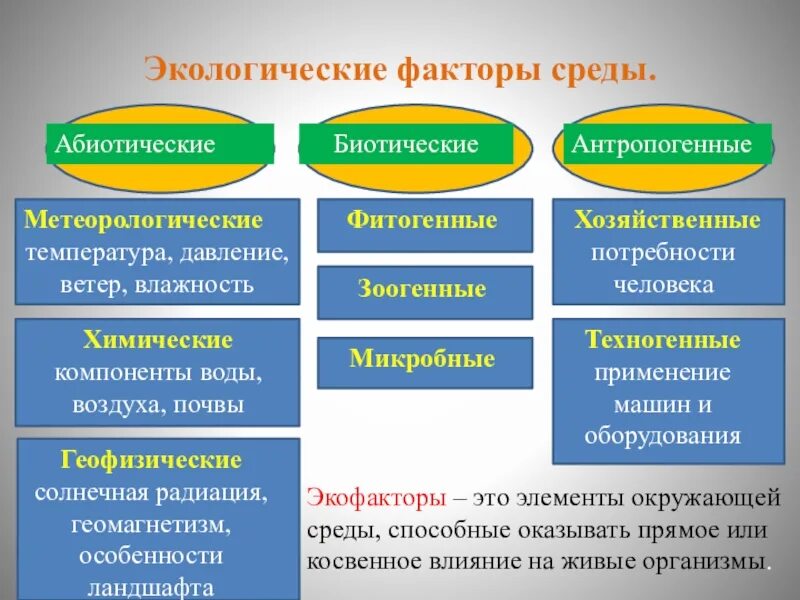 Какие факторы среды называют экологическими. Экологические факторы среды. Абиотические и биотические экологические факторы. Экологические факторы абиотические биотические антропогенные. Абиотические экологические факторы среды.