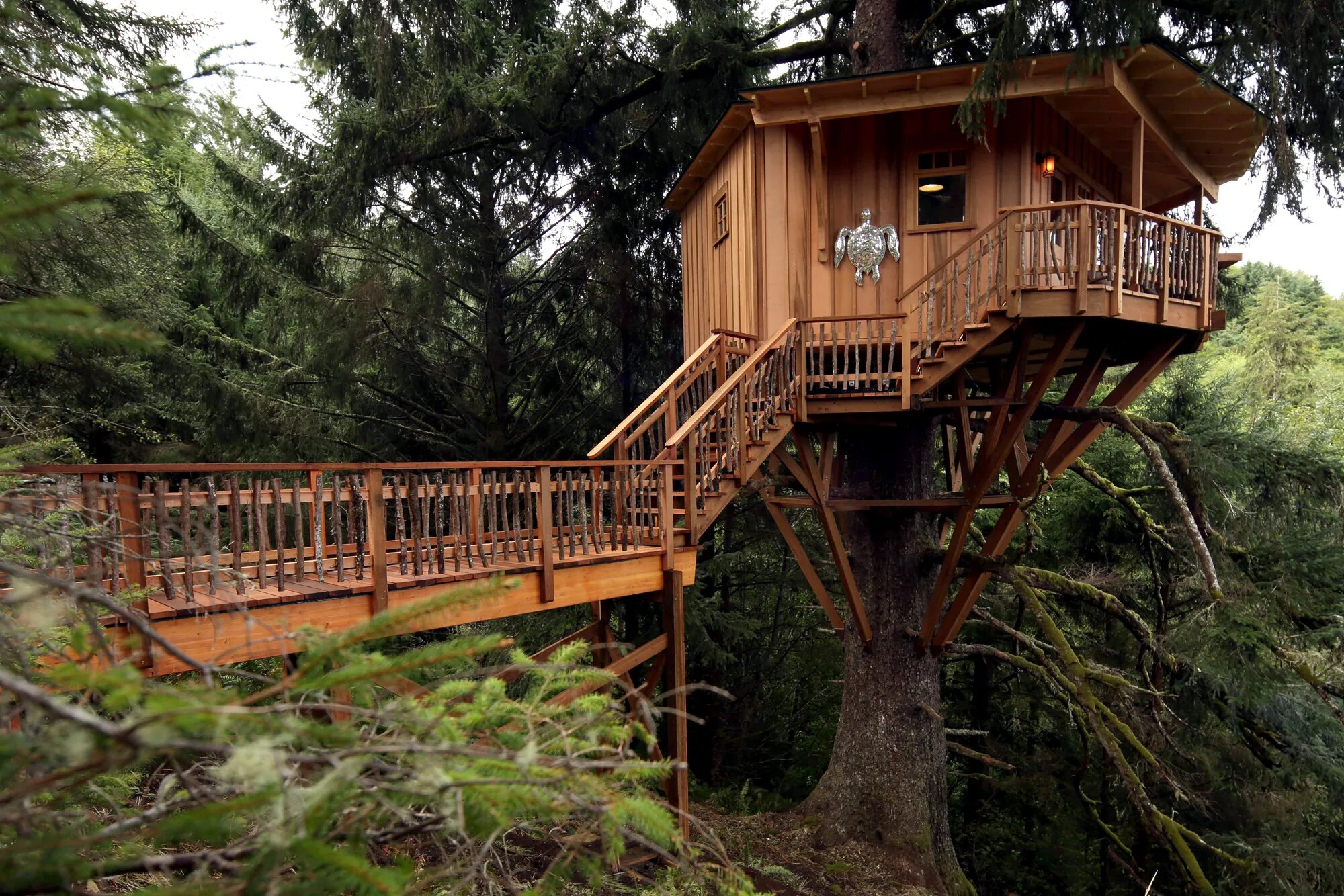 It s a tree house. Дом на деревьях шотландия климанрюк. алникский дом на дереве. treehouse домик на дереве. дом на дереве (британская колумбия, канада).