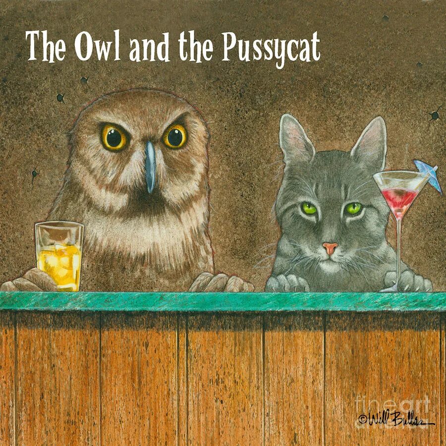 The owl and the pussycat. Owl Cat. Owl and the Pussycat отель. The Owl and the Pussycat перевод.