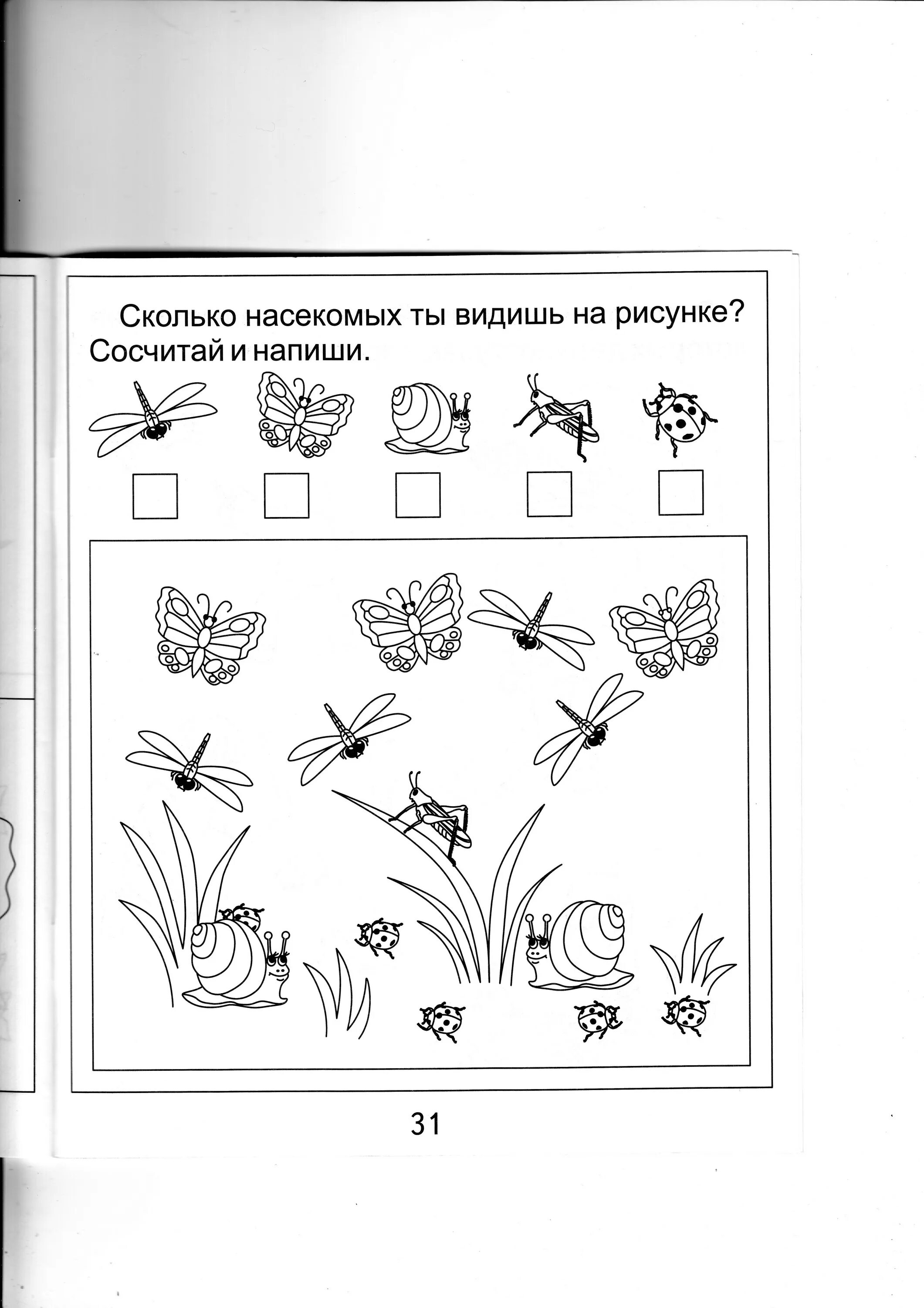 Насекомые урок 1 классе. Сколько насекомых ты видишь на рисунке сосчитай и напиши. Посчитай сколько насекомых. Картинка посчитай сколько насекомых. Сколько насекомых видишь на картинке.