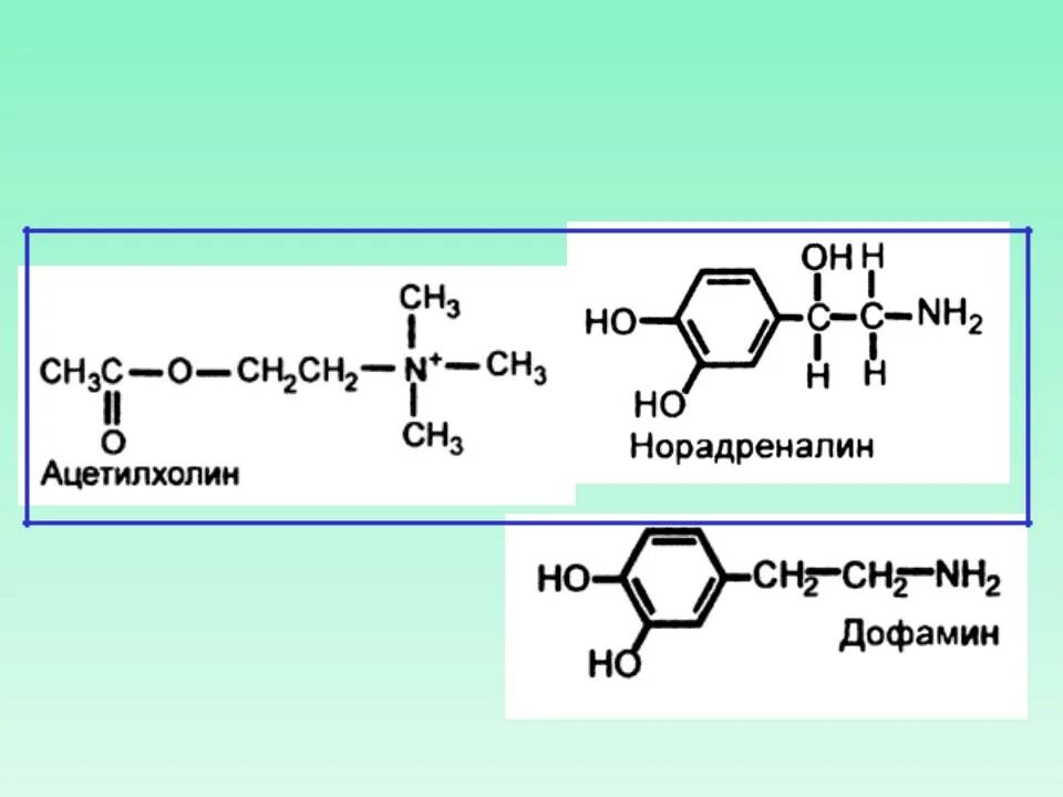 Нейромедиаторы ацетилхолин. Нейромедиаторы ацетилхолин норадреналин. Ацетилхолин и норадреналин. Медиаторы ацетилхолин и норадреналин.