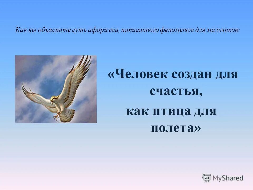 Крылатые гости. Высказывания о птицах. Цитаты про птиц. Афоризмы про птиц. Полет птицы афоризмы.