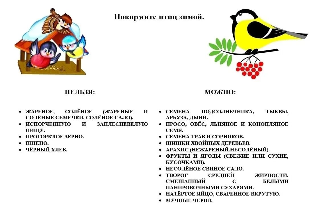 Экологическая акция Покормите птиц зимой. Акция сбор корма для зимующих птиц. Природоохранная акция Покормите птиц зимой. Экологическая акция Покормите птиц зимой в школе. Сценарий развлечения птицы