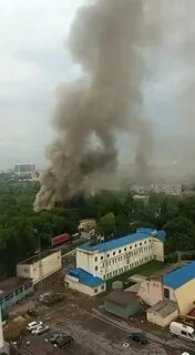 Пожар в зоопарке