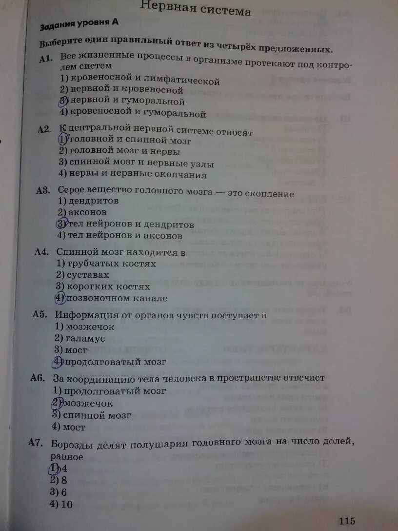 Измерительные по биологии 8 класс. Зачет по биологии 8 кл нервная система. Тесты по биологии 8 класс с ответами Колесов. Тесты по биологии 8 класс учебник. Тест по биологии 8 класс нервная система.