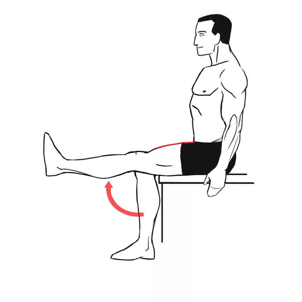 L extension