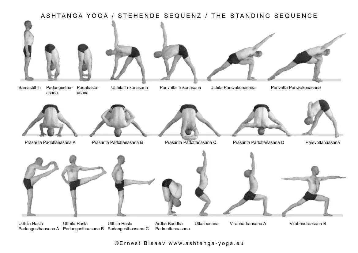 Основная асана йоги. Аштанга йога комплекс упражнений. Аштанга йога для начинающих упражнения. Аштанга-виньяса йога для начинающих. Асаны йоги Айенгара с названиями.