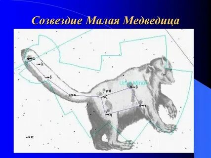 Яркая звезда малой медведицы