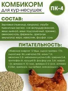 Комбикорм для кур несушек отзывы