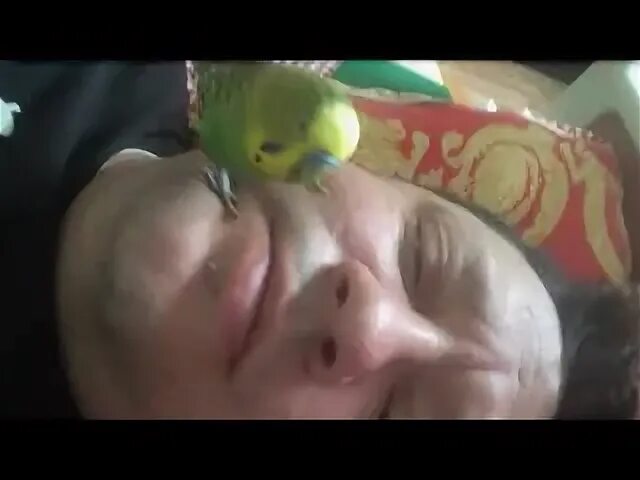 Видео сашок