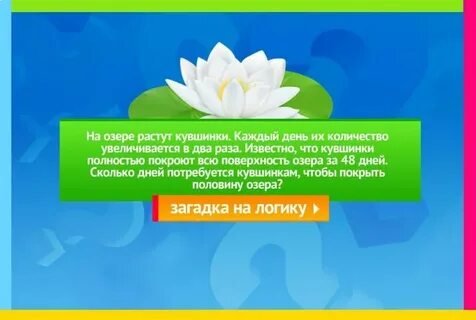 На озере росло