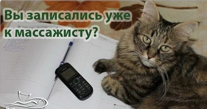 Массаж иллюстрация. Массажист карикатура. Приколы массажистов. Массаж прикол. Приколы массажистов.