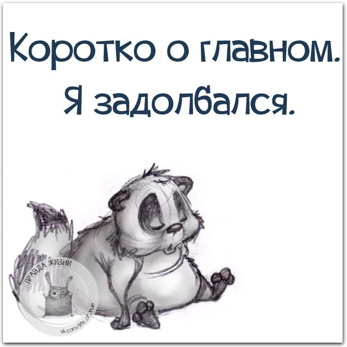 Главное изображение. Я задолбался картинки. Я уже задолбался. Когда задолбался на работе картинки. Картинки задолбалась прикольные.