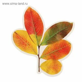 Стикеры листьев